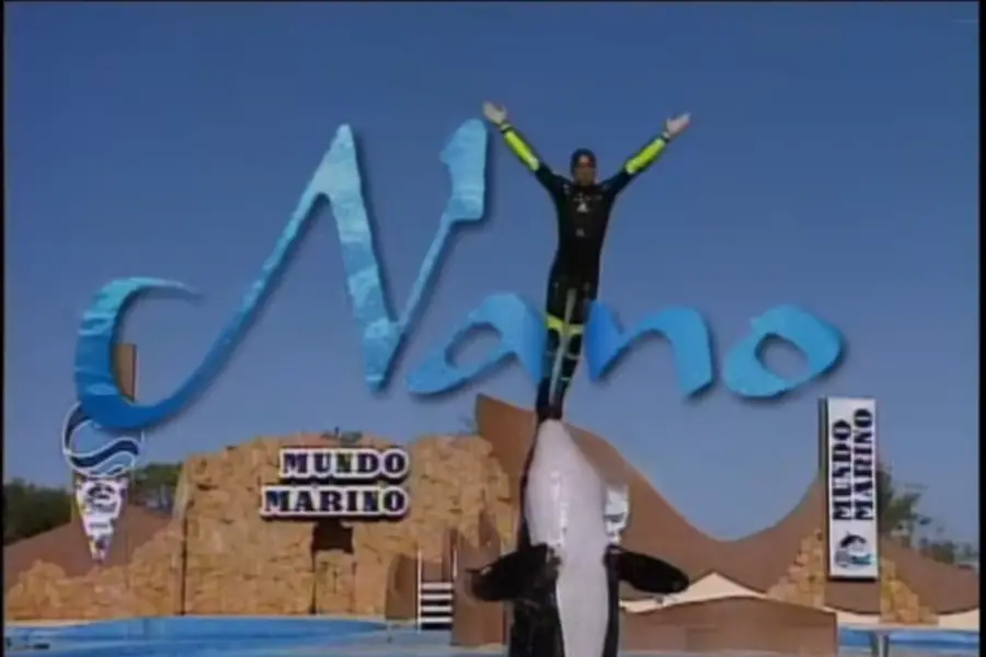 EN ESCENA. La introducción de la novela muestra al animal marino con Gustavo Bermúdez, el protegonista.