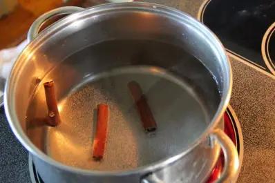 Cómo hacer un gran repelente casero con solo un ingrediente