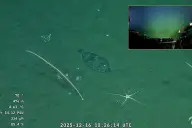 Tras ganar el Martín Fierro de Oro: dónde ver el nuevo streaming del Conicet