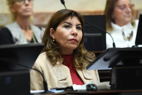 La senadora Sandra Mendoza cambió de bloque, aunque permanece en el peronismo