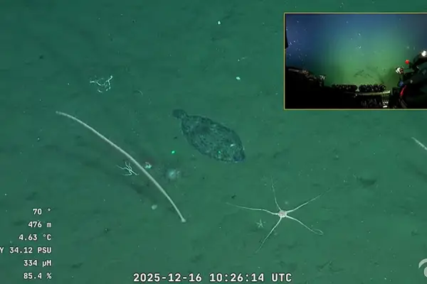 Tras ganar el Martín Fierro de Oro: dónde ver el nuevo streaming del Conicet