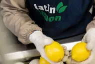 Megaoperación de cierre de año: el Grupo Ruiz adquiere Latin Lemon