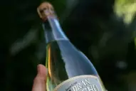 ¿Qué vino compro para las cenas de Navidad y Fin de Año? Las opciones de los sommeliers tucumanos por menos de $15.000