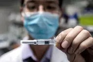 Vacaciones en Brasil: ¿son necesarias las vacunas de dengue, fiebre amarilla y Covid?