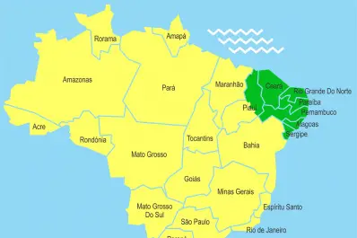 Vacaciones en Brasil: ¿son necesarias las vacunas de dengue, fiebre amarilla y Covid?