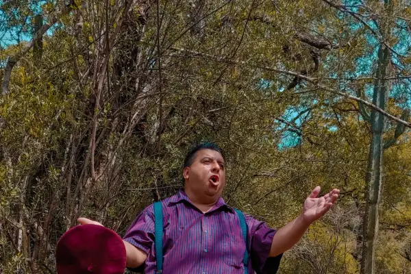 Propuestas corales con repertorios sobre la Navidad