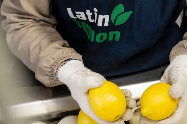 Megaoperación de cierre de año: el Grupo Ruiz adquiere Latin Lemon