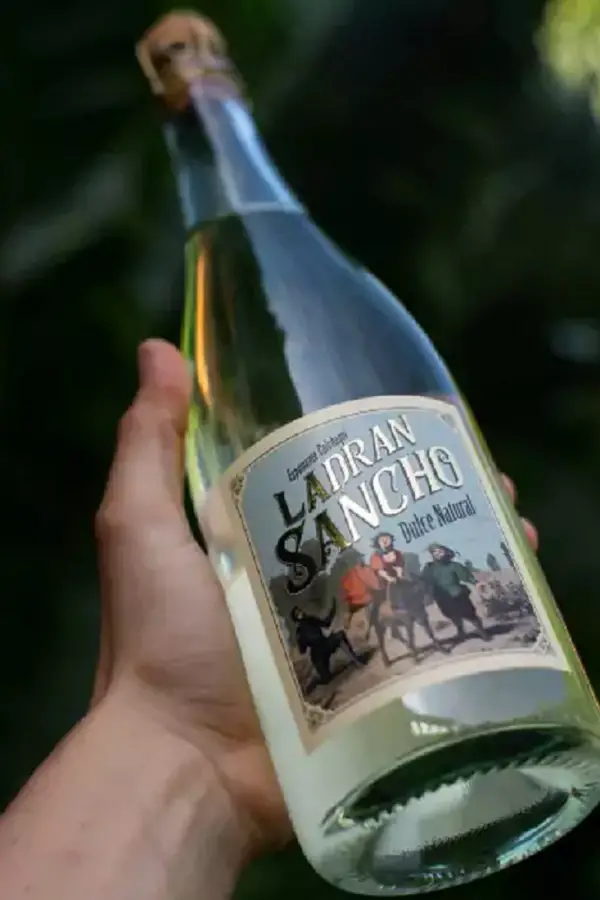 Tranquilos y espumosos: 14 opciones de vinos para brindar en Navidad y Año Nuevo