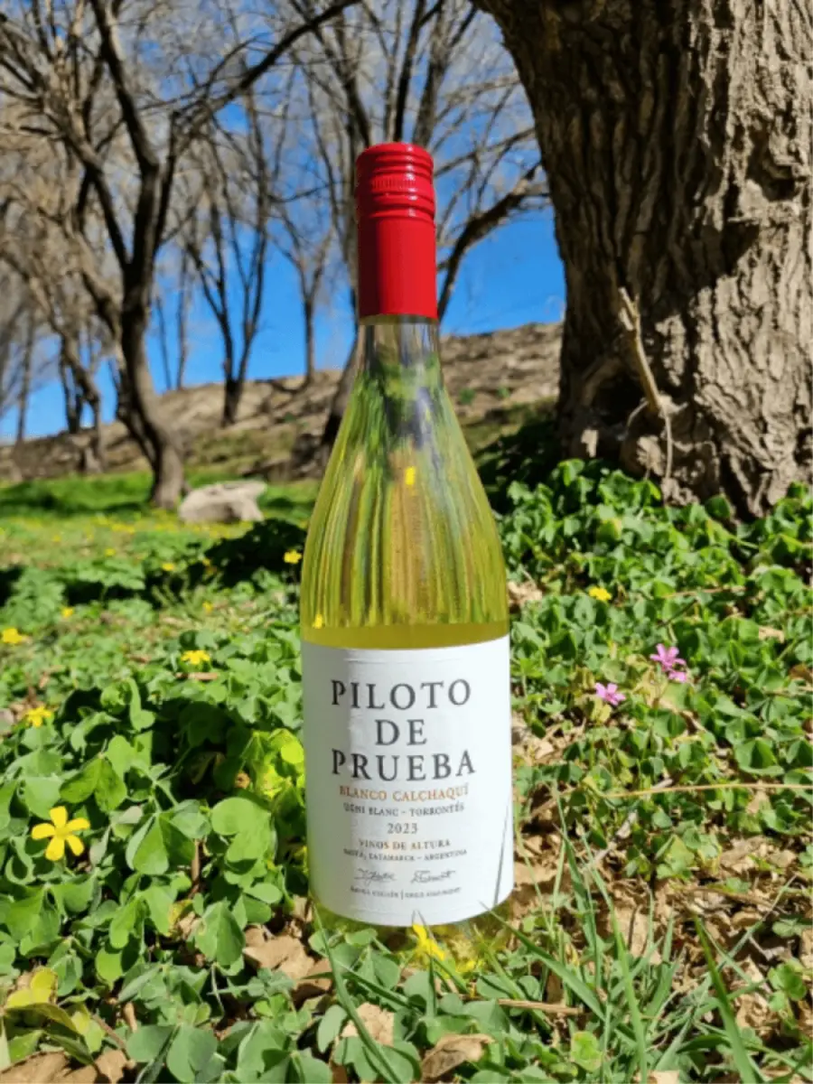 ¿Qué vino compro para las cenas de Navidad y Fin de Año? Las opciones de los sommeliers tucumanos por menos de $15.000