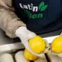 Megaoperación de cierre de año: el Grupo Ruiz adquiere Latin Lemon