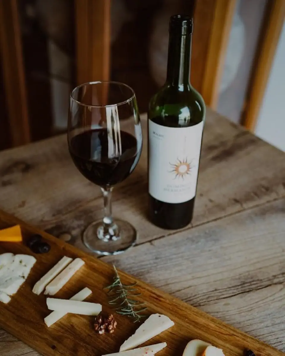 ¿Qué vino compro para las cenas de Navidad y Fin de Año? Las opciones de los sommeliers tucumanos por menos de $15.000