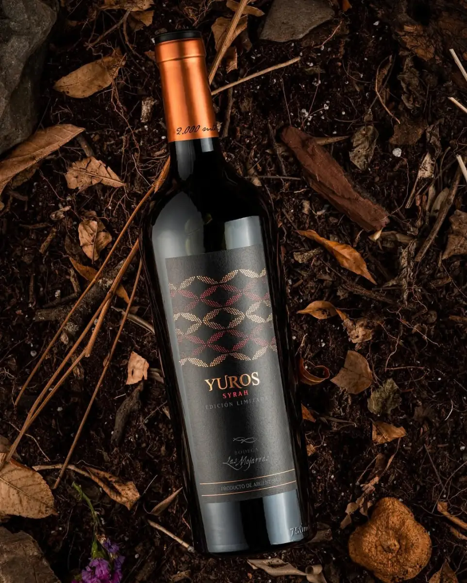 ¿Qué vino compro para las cenas de Navidad y Fin de Año? Las opciones de los sommeliers tucumanos por menos de $15.000