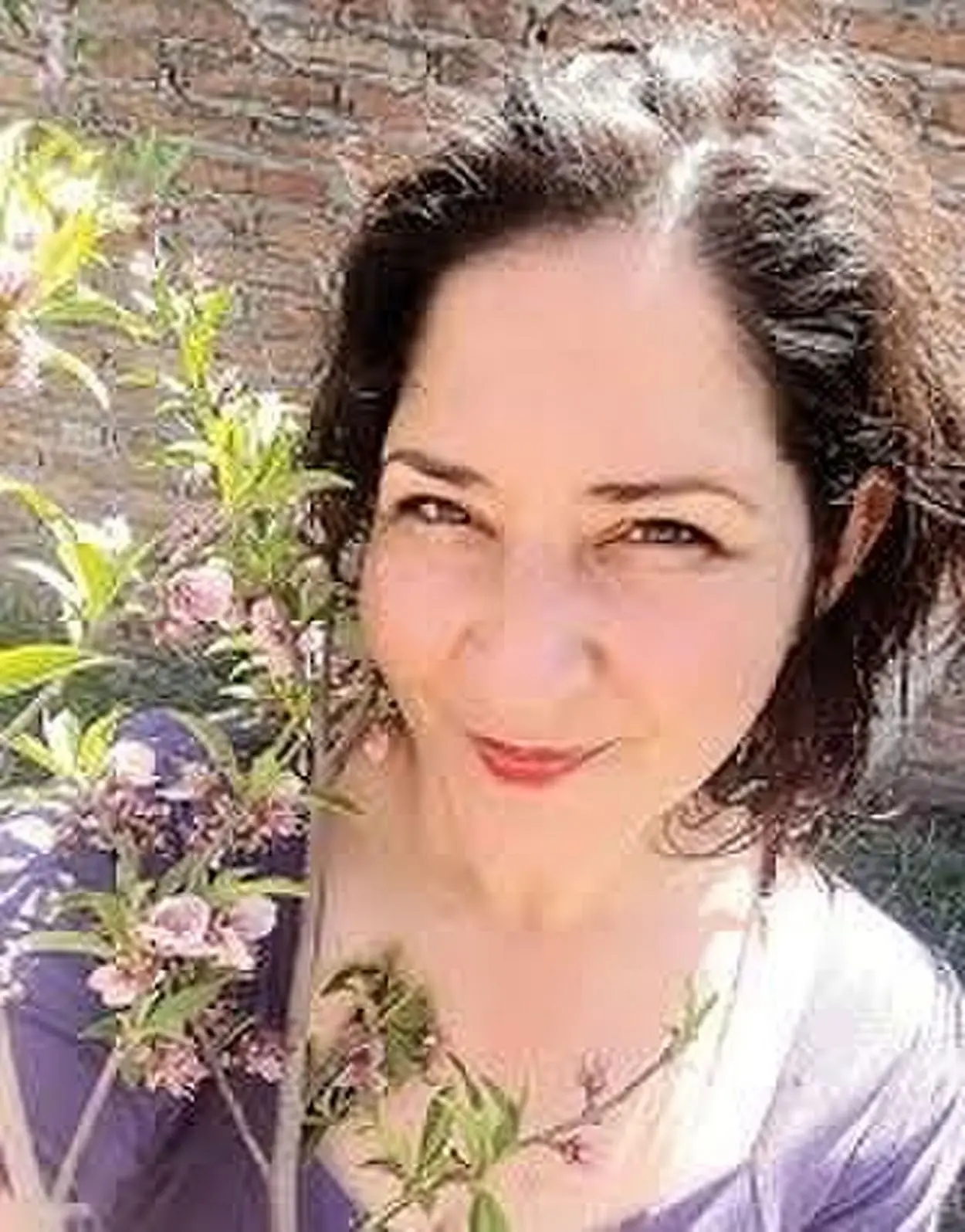 Espectáculos y cultura en Tucumán: guía para salir