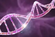 El Garrahan y la UBA crean una nueva herramienta para detectar enfermedades raras