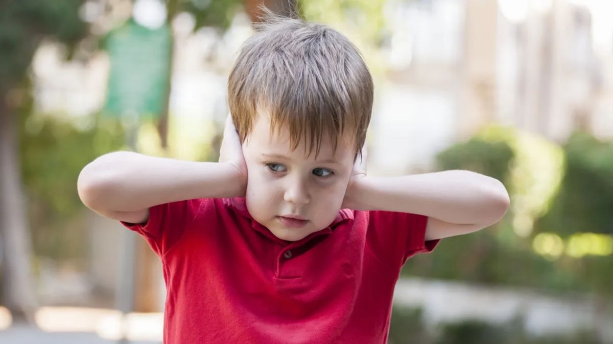 Fiestas: promueven en Tucumán la concientización sobre los efectos negativos de la pirotecnia en niños y niñas con autismo