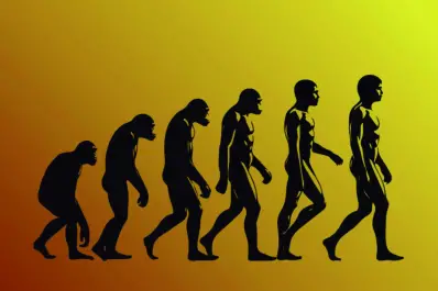 El impresionante camino de la evolución humana