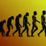 El impresionante camino de la evolución humana