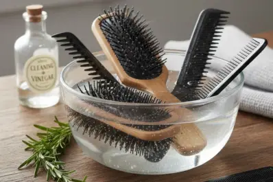 Los beneficios de remojar el peine con vinagre: para qué sirve implementar este hábito