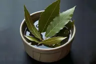 Cómo realizar el ritual con laurel para atraer dinero en Navidad