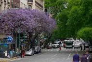 Cómo estará el clima en el centro del país en la víspera de Navidad