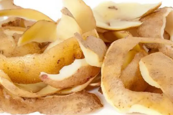 Licuar cáscara de papa con bicarbonato: para qué sirve este truco casero y por qué lo recomiendan