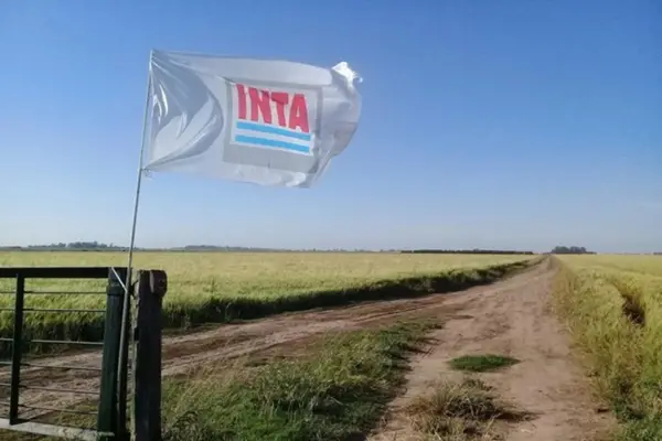 Ex funcionarios de Agricultura acusaron que detrás de la reforma del INTA hay un “negocio inmobiliario”