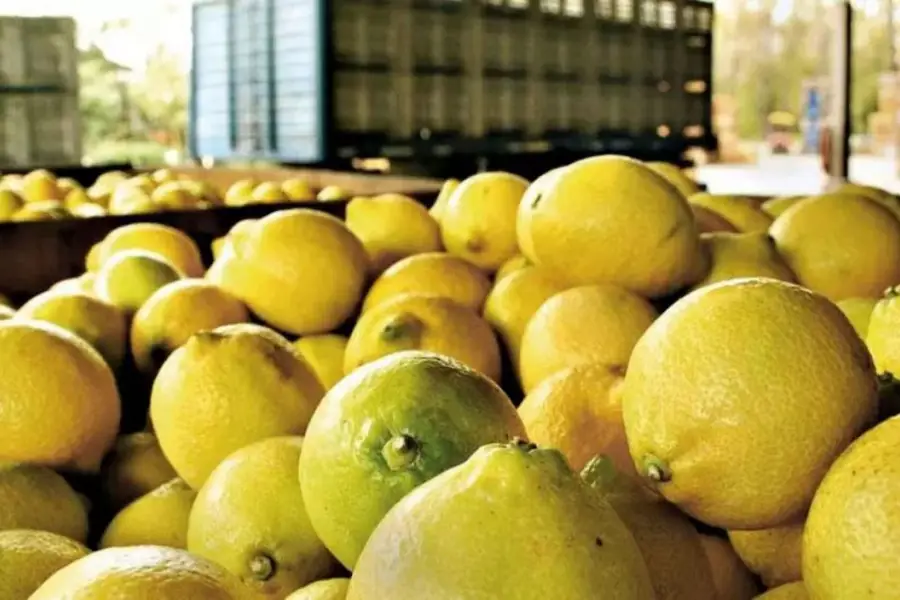 El agridulce sabor de un año de inversiones privadas