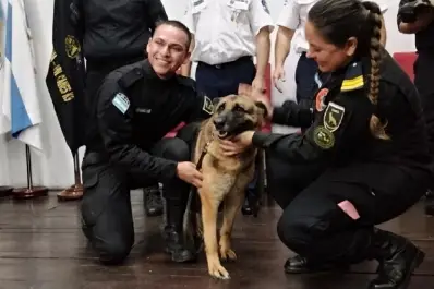 Guardianes de cuatro patas en Tucumán: la División Canes de la Policía celebró los 50 años de servicio y compromiso