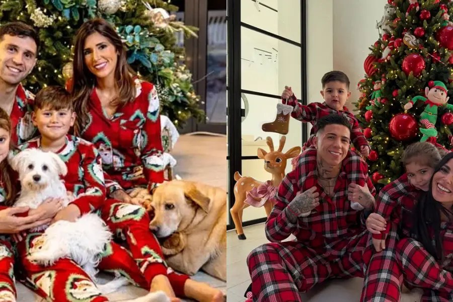 FAMILIA. Debajo del árbol, 