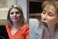 “¡Callate, mamarracho!”: explosivo cruce en el Senado durante el debate del Presupuesto 2026