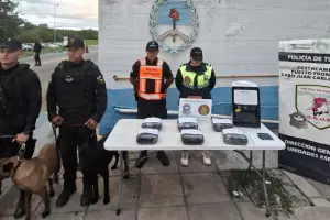 Detienen a un gerente de una empresa de correo por el transporte de marihuana