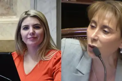 “¡Callate, mamarracho!”: explosivo cruce en el Senado durante el debate del Presupuesto 2026