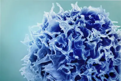 No es ciencia ficción: investigadores del MIT encontraron una manera de rejuvenecer el sistema inmunitario