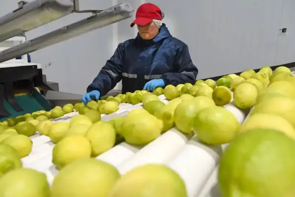 Las exportaciones crecieron un 9,5% entre enero y noviembre