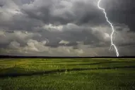 La zona núcleo recibió lluvias que “valen oro”