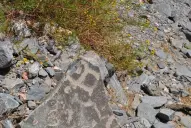 Buscan petroglifos que se extraviaron cerca de las ruinas de Quilmes