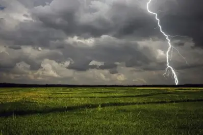 La zona núcleo recibió lluvias que “valen oro”