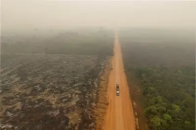 Qué pasa en el Amazonas: el inquietante hallazgo que preocupa a los científicos