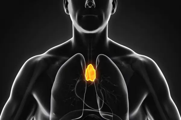 Avance científico: encuentran una vía para frenar el desgaste del sistema inmune