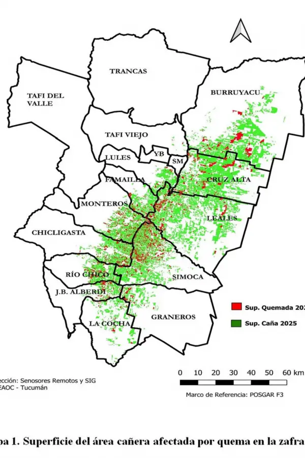 Durante 2025, en Tucumán se quemaron 5.000 hectáreas menos de caña que en la zafra anterior