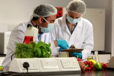 Efemérides del lunes 29 de diciembre: ¿qué pasó un día como hoy?