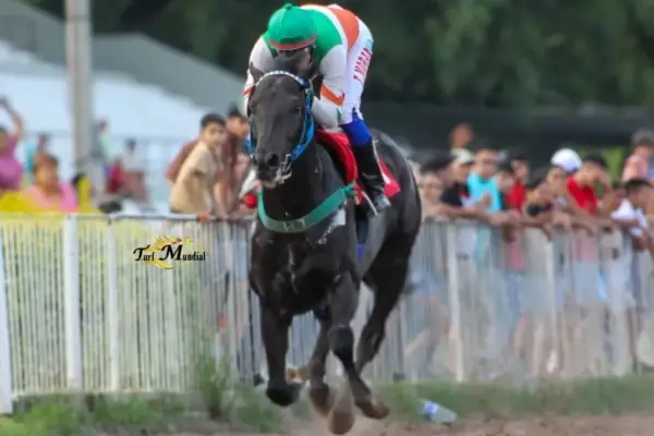 Suffok fue el mejor del año y selló su consagración en el Pellegrini