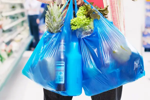 Sin reglamentación, la prohibición de bolsas plásticas en la capital no podrá aplicarse desde enero