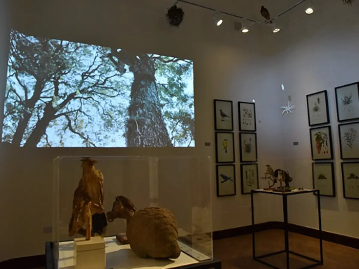 CASA MUSEO CIUDAD. El antiguo solar Sucar propone un recorrido por la historia de San Miguel de Tucumán a través de recursos audiovisuales, maquetas y experiencias interactivas. / TUCUMÁN TURISMO