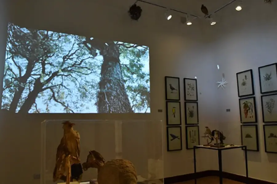 CASA MUSEO CIUDAD. El antiguo solar Sucar propone un recorrido por la historia de San Miguel de Tucumán a través de recursos audiovisuales, maquetas y experiencias interactivas. / TUCUMÁN TURISMO