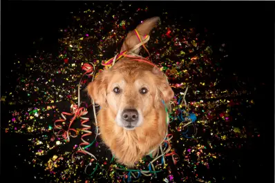 Expertos instan a los dueños de perros a quitar estos populares adornos festivos