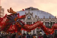 Llega el Año Nuevo Chino: cuáles serán los animales del horóscopo más favorecidos