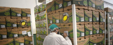 Tucumán, ¿sigue siendo el eje socioeconómico del NOA?