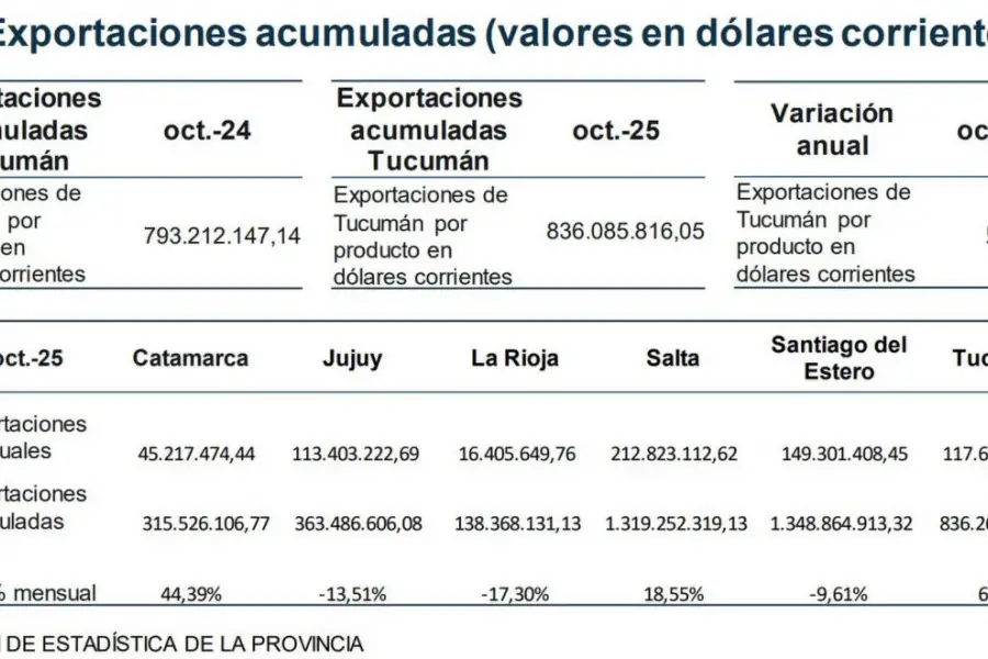 Tucumán, ¿sigue siendo el eje socioeconómico del NOA?