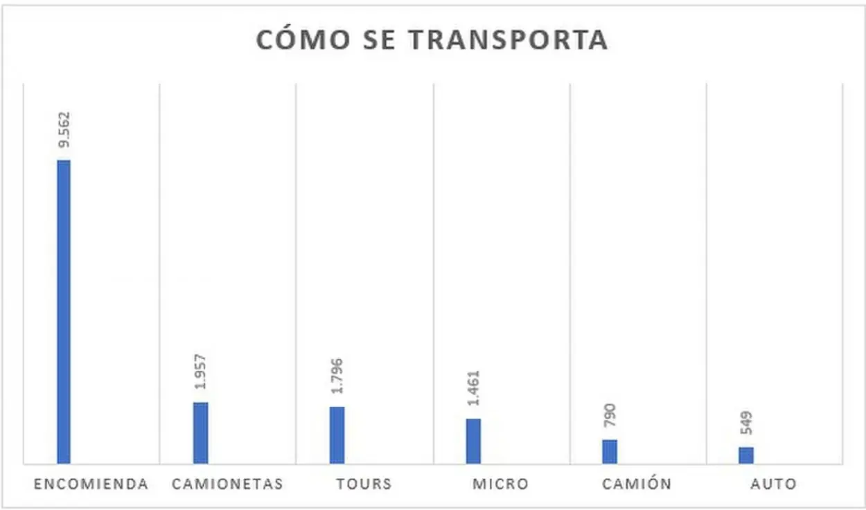 Por la falta de regulación, crece el millonario negocio del comercio de la hoja de coca